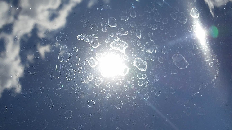 water spots on vehicle