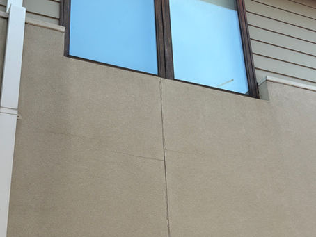 Building vs Pest Inspections - What’s the Difference and Why Smart Buyers Do Both