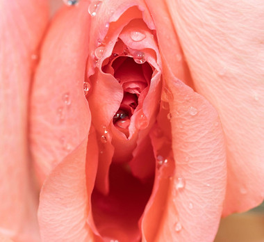 AdobeStock_404212612_James Jiao_edited_edited.jpg