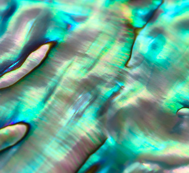 AdobeStock_127657131_edited_edited.jpg