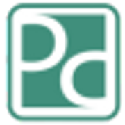 P4Digital Groups logo