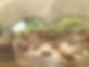 D77FC7D7-D6F8-40FC-964C-96B012465B53.jpeg