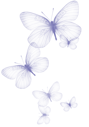 transparent-butterfly-images-3.png