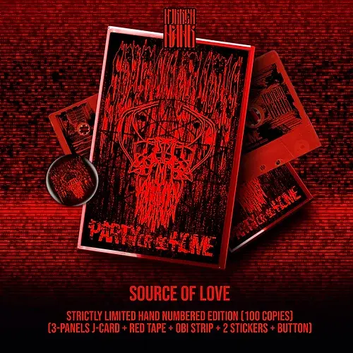 Source of Love - Party or Go Home Cass