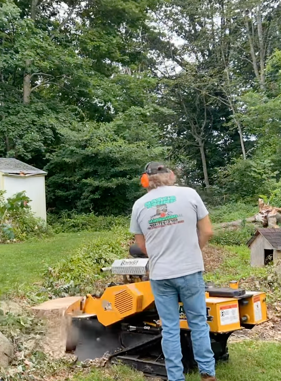 Nates Stump Grinding Services | Rhode Island | Connecticut