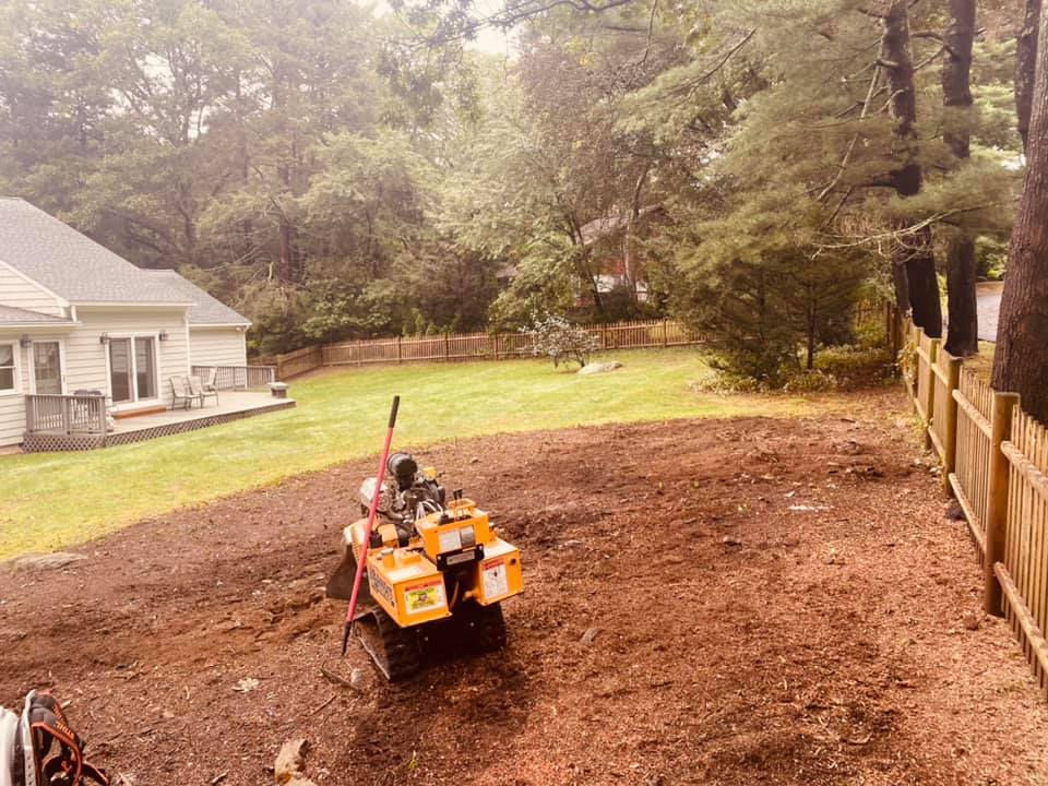 Nates Stump Grinding Services | Rhode Island | Connecticut