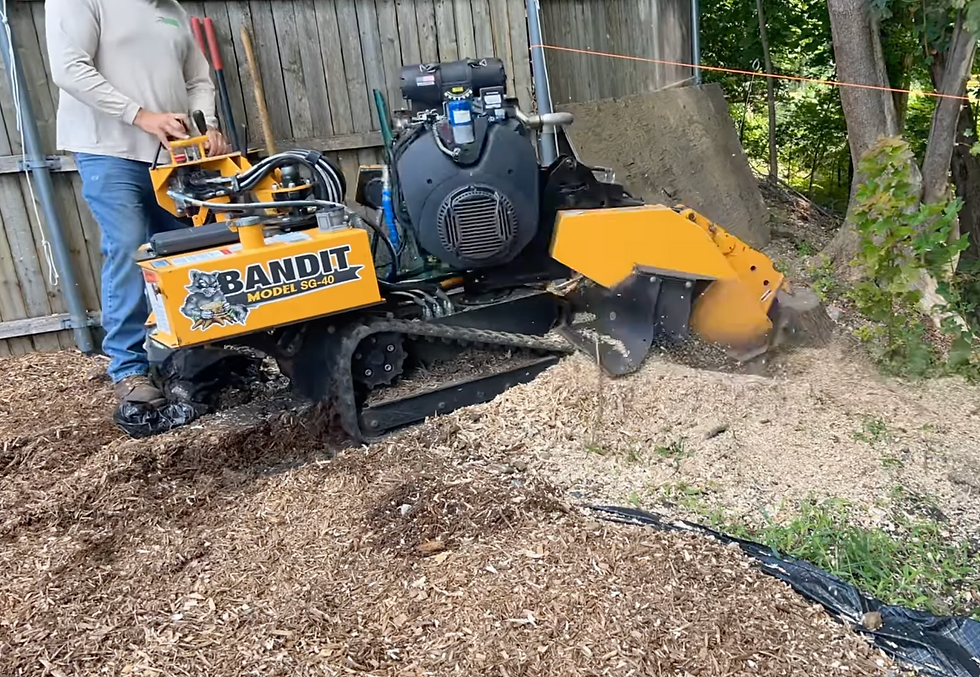 Nates Stump Grinding Services | Rhode Island | Connecticut