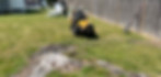 Nates Stump Grinding LLC | Professional Stump Removal 