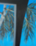 Miami Palms