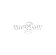 Design sans titre (3)_edited.png