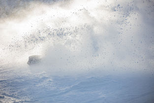 Where I’m From Poems