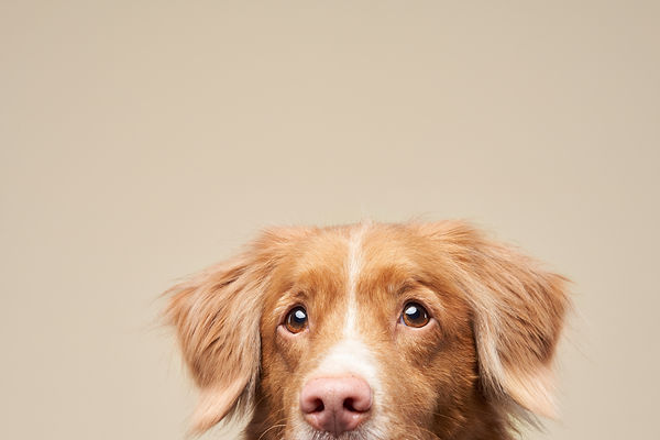 AdobeStock_501649253.jpeg