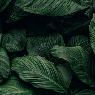 Client Spotlight | Jillian Bashore