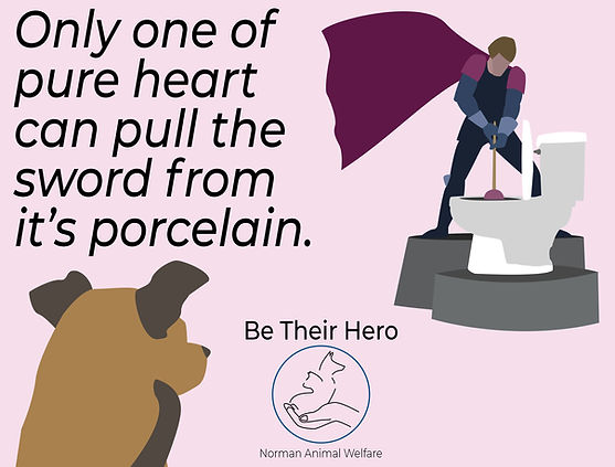 Norman Animal Welfare Print Ad - Graham