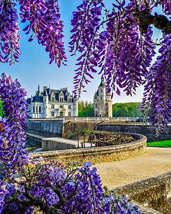 chenonceau.jpg