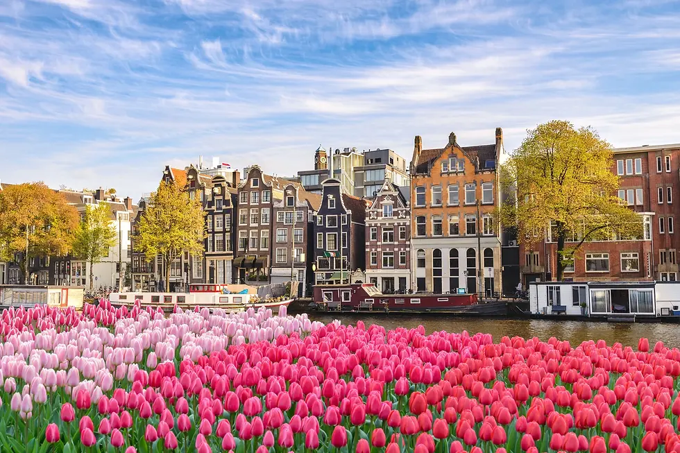 Amsterdam-tulipas.webp