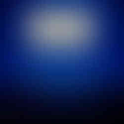 とりアート ゲストパフォーマンス