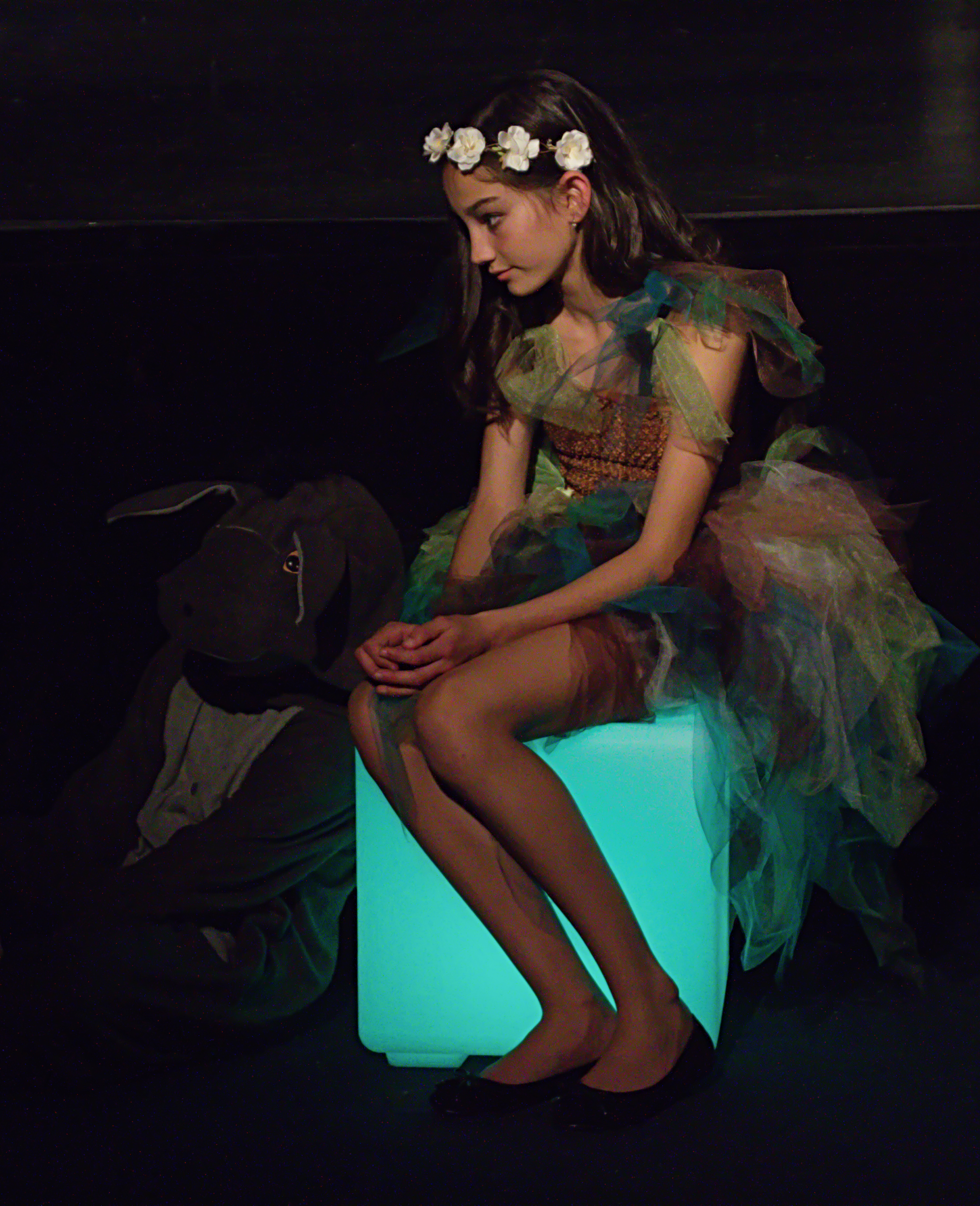 A Midsummer Night's Dream