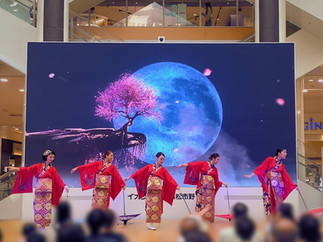 和傘パフォーマンス