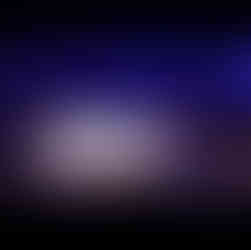 和風ダンスショー