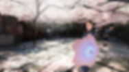 桜の光る和傘