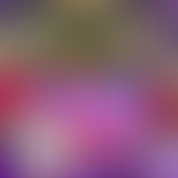 ヒルトン東京お台場/国際会議に出演