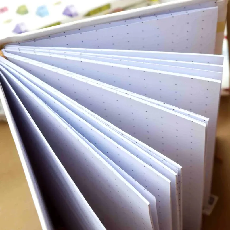 Thumbnail: The Bright Walls Notebook