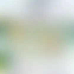 「なりたいか?」あのおじさんと、音楽のある町の話