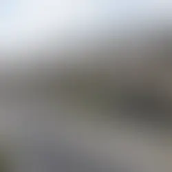 同じ家が並ぶ風景