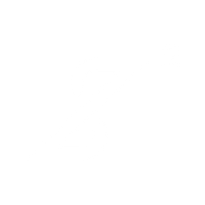 z2.webp
