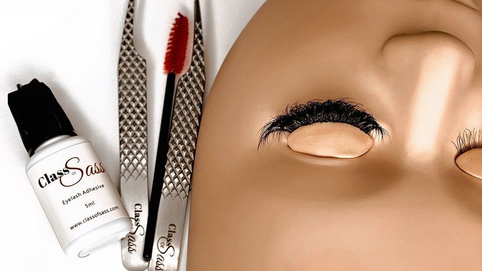 Intro to Classic Lashes & Advanced : Volume course