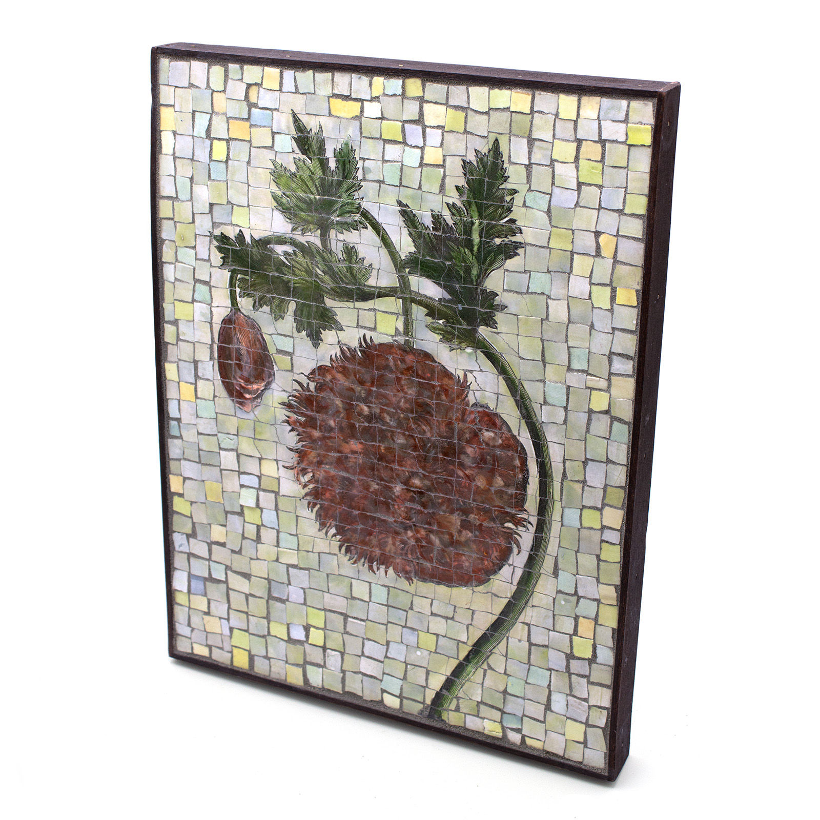 Feathered Opium Poppy Mosaic