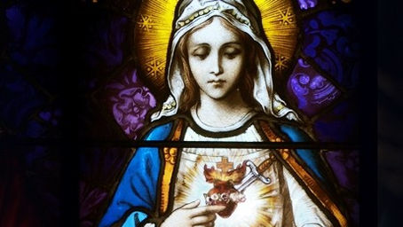 The Physical Heart of Mary