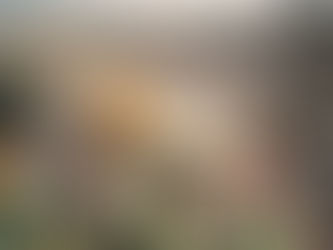 Pope John Paul II - Homily on Divine Mercy Sunday