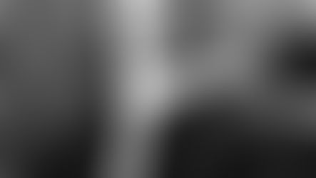 Pope Pius XII - Canonization Homily & Allocution for Saint Louis de Montfort