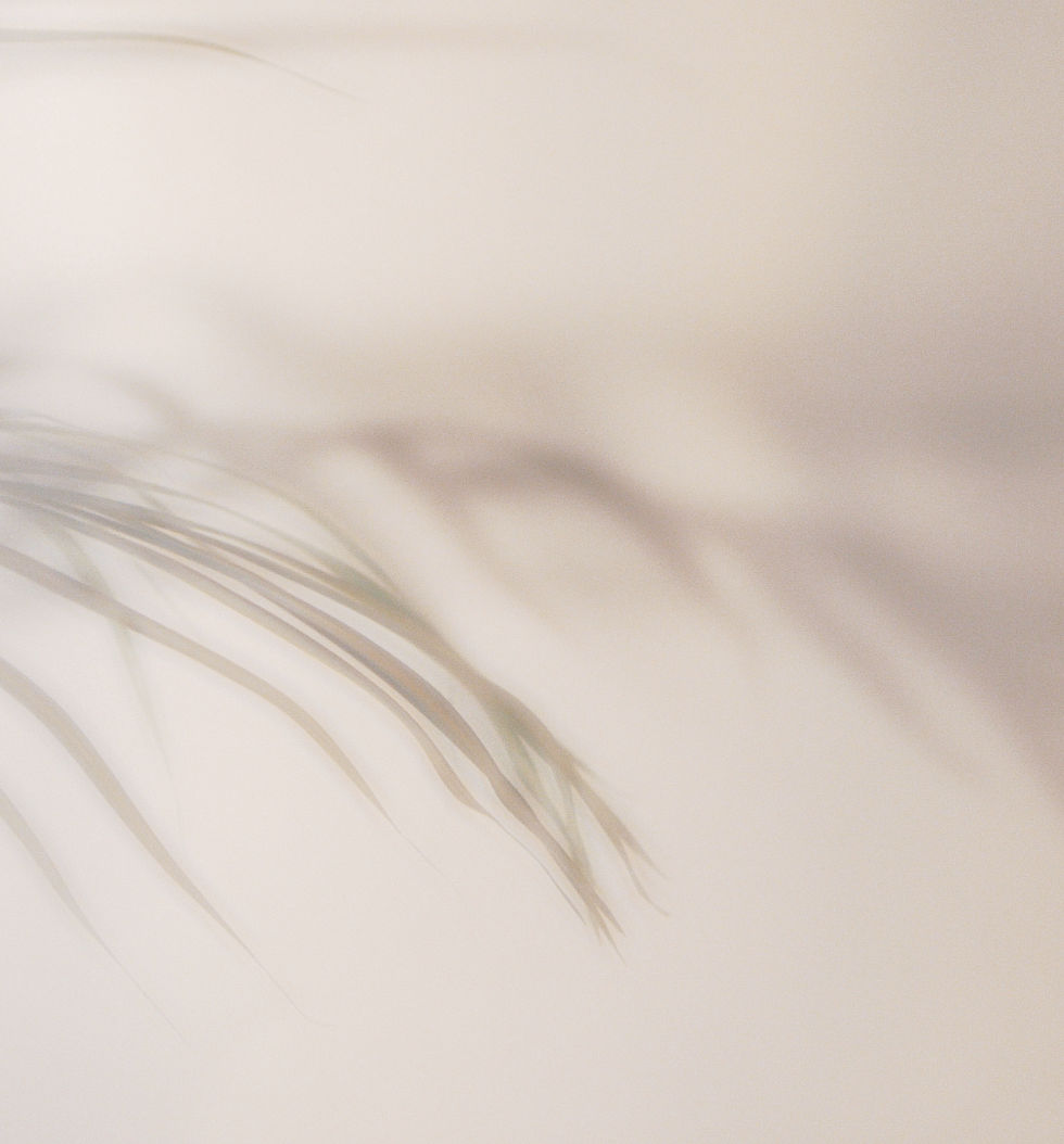 AdobeStock_474346184_Preview_edited.jpg