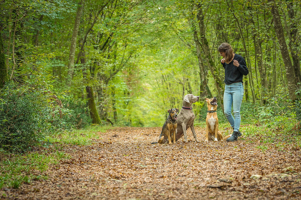 marine-et-ses-chiens-grain-de-pixel-169.jpg