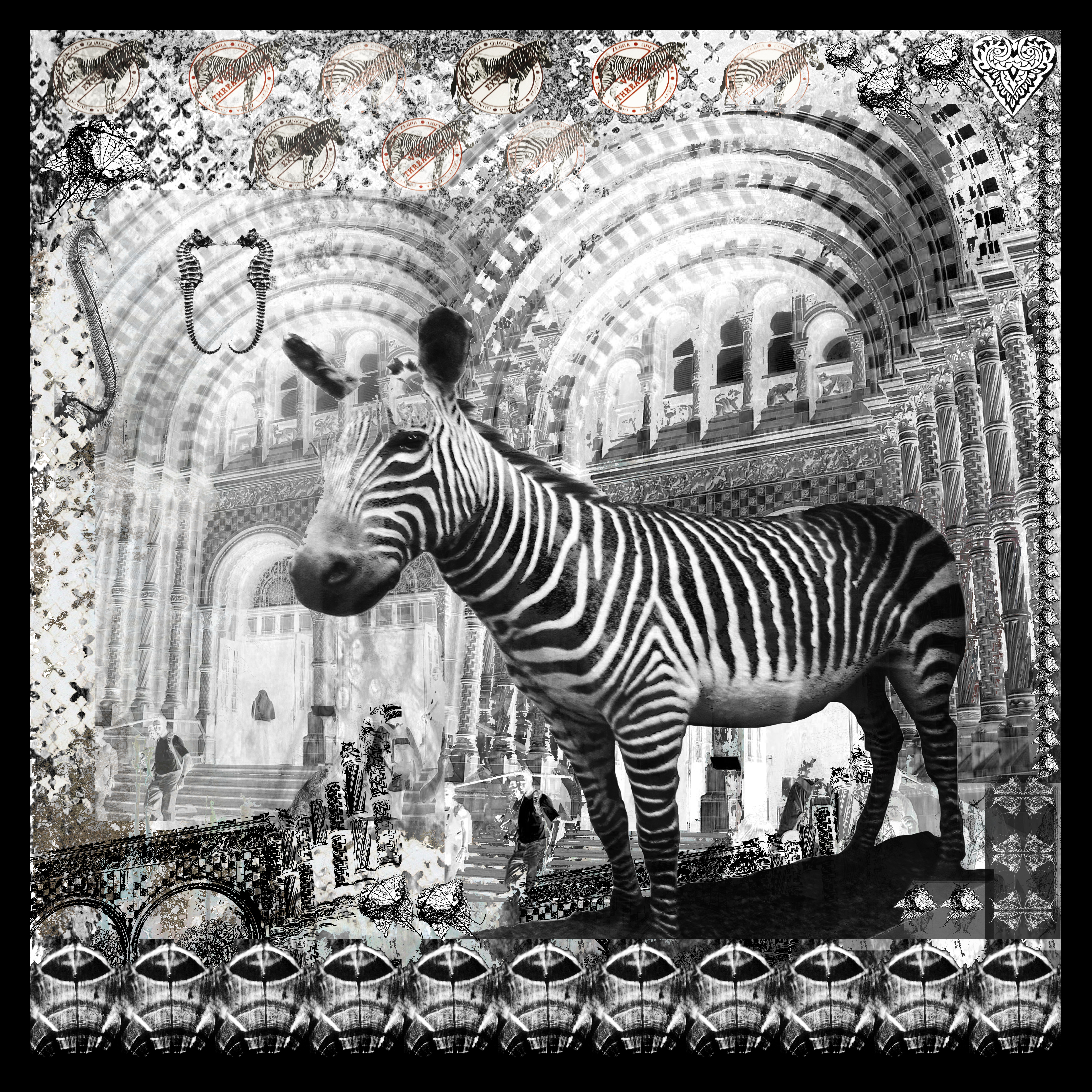 Natural History Museum (print)