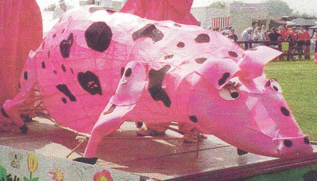 Young Farmers prize winning pig!