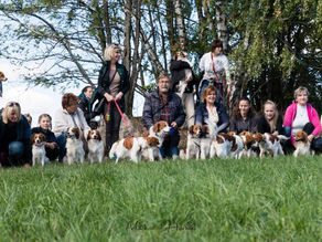 10. Koomeeting: setkání chovatelů a majitelů Kooikerhondje