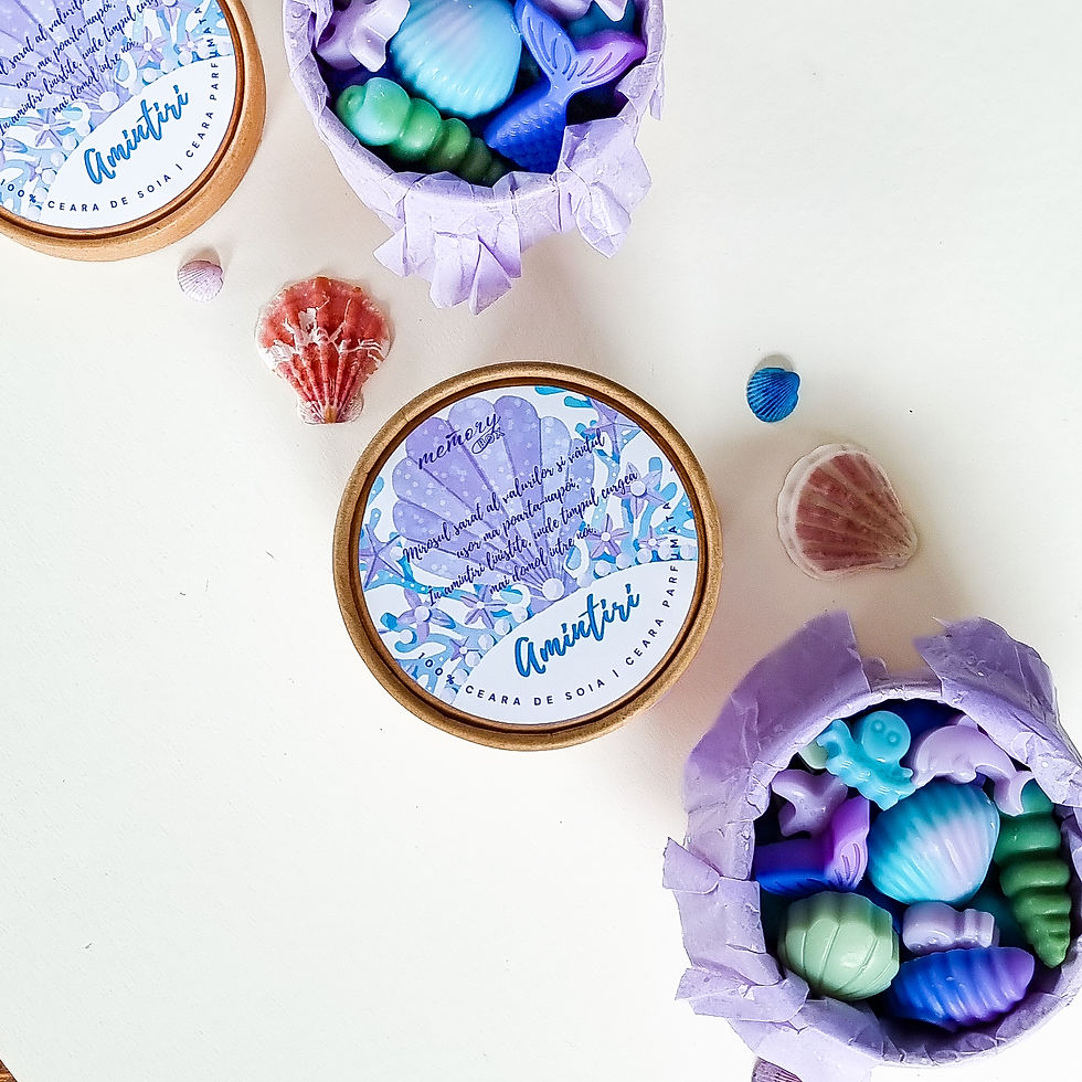 Miniatură: Ceara parfumata, wax melts, ceara soia, odorizant de camera, odorizant de dulap, note marine