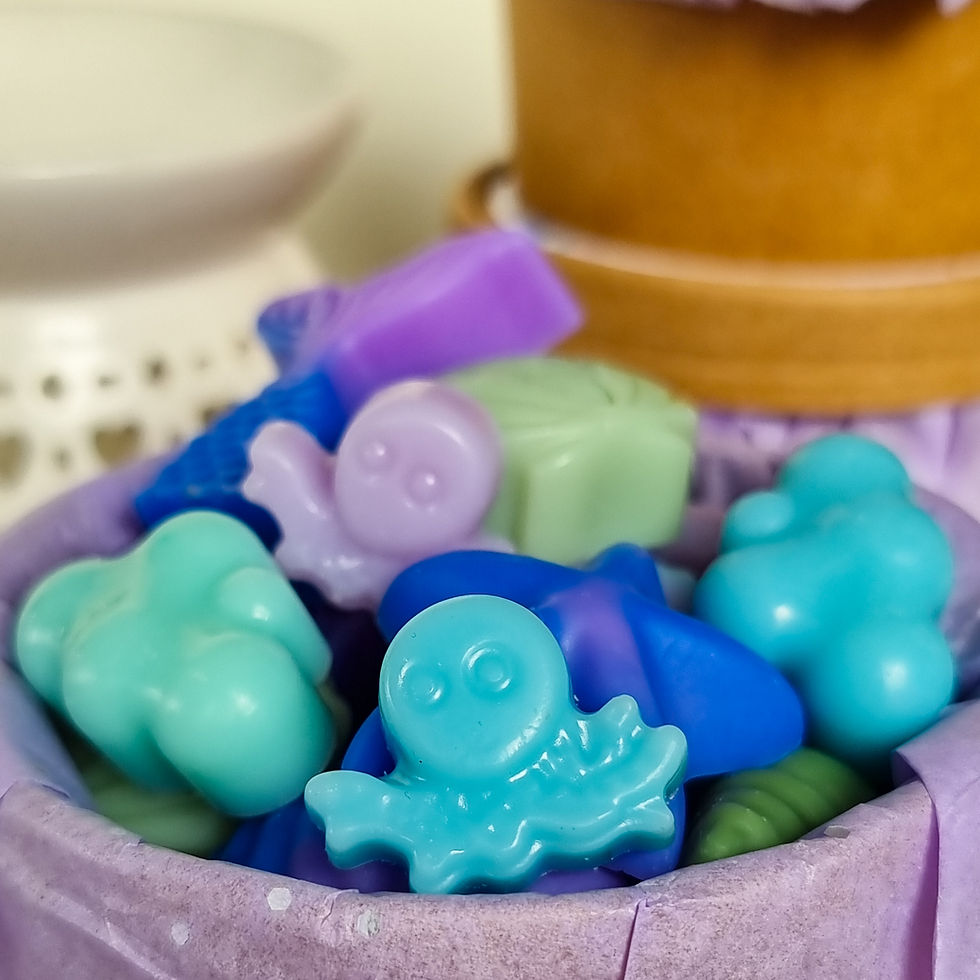 Miniatură: Ceara parfumata, wax melts, ceara soia, odorizant de camera, odorizant de dulap, note marine