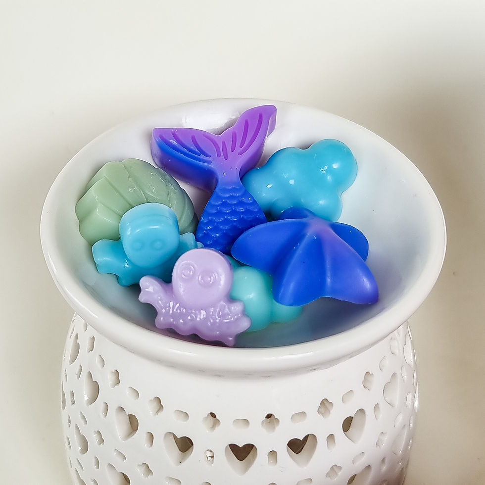 Miniatură: Ceara parfumata, wax melts, ceara soia, odorizant de camera, odorizant de dulap, note marine