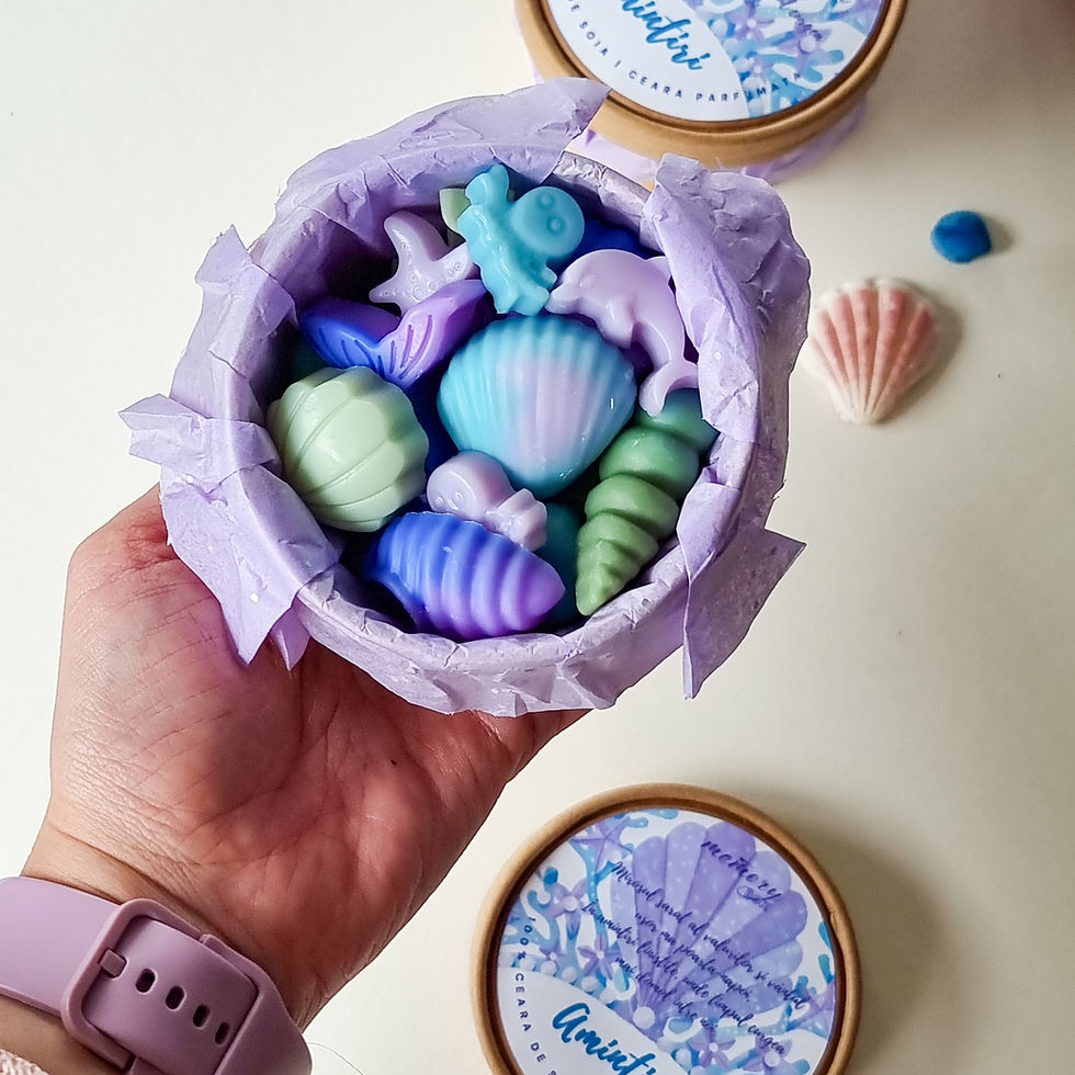 Miniatură: Ceara parfumata, wax melts, ceara soia, odorizant de camera, odorizant de dulap, note marine