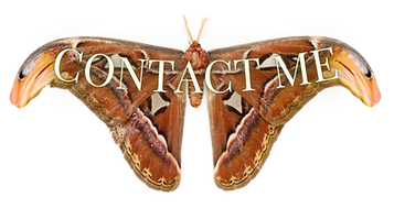 23_edited.png