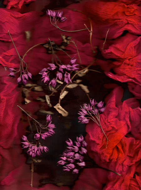 Scan 8-vermelho-300.dpi-s_c.tif