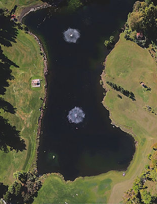 website edit pond.jpg