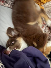 IMG_4155(1).JPEG