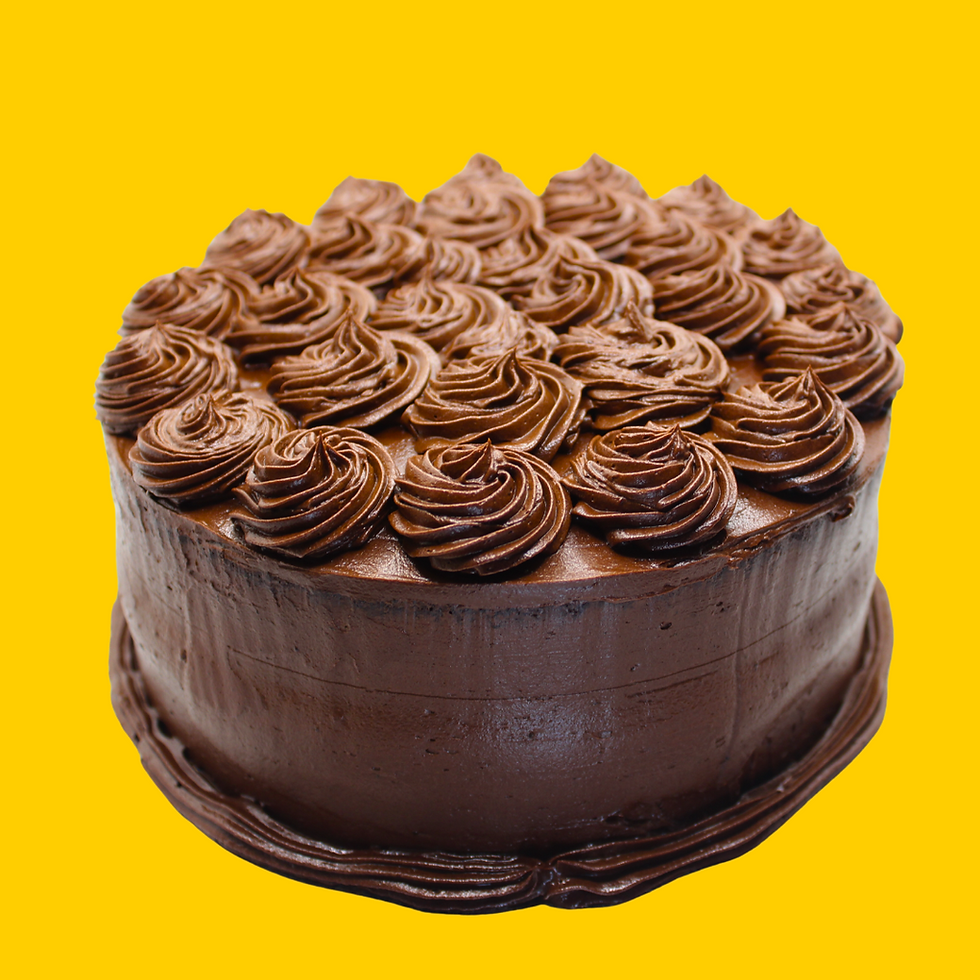 Gluten Free Chocolate Cake front view