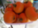 Tomato - Persimmon. Late. The 3–5" orange fruits have a sweet, fruity flavour which is delicious. Resistant to cracking.